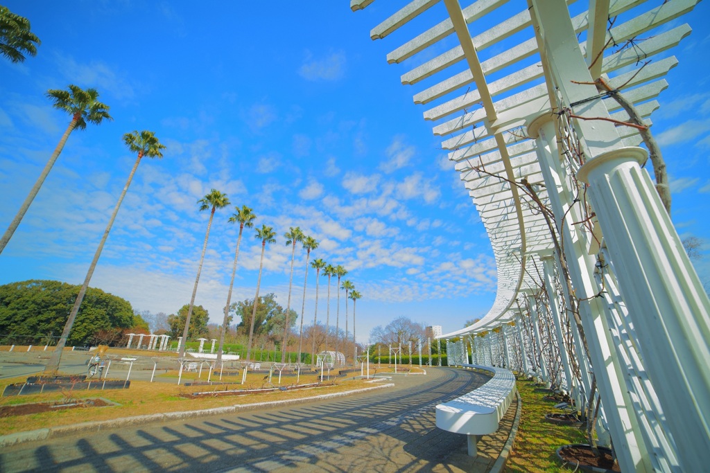 庭園