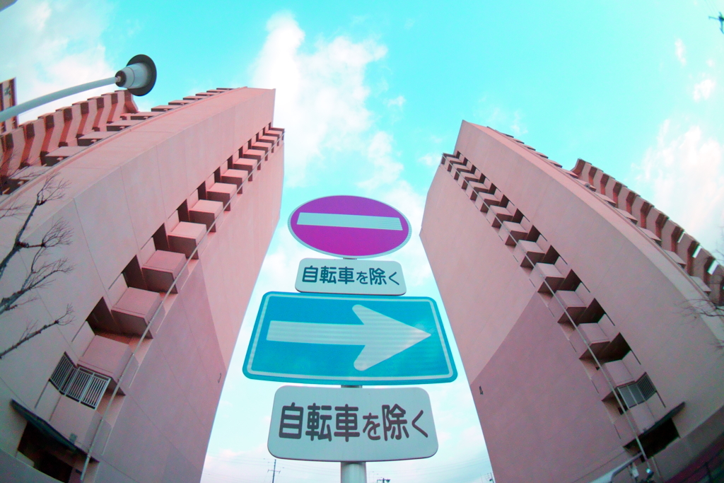魚眼