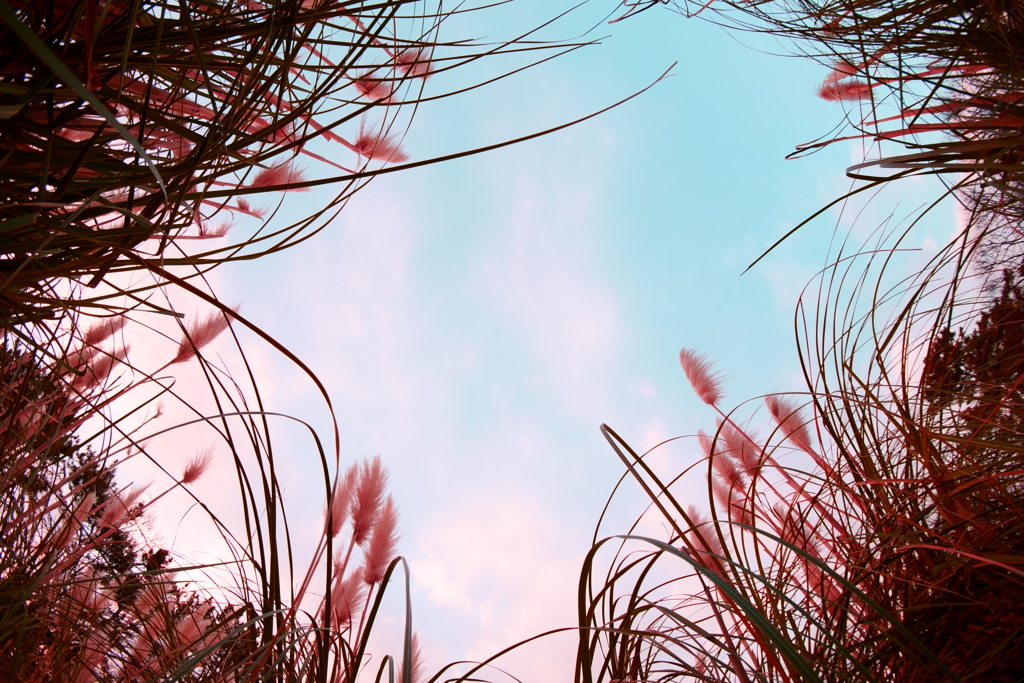 冬空