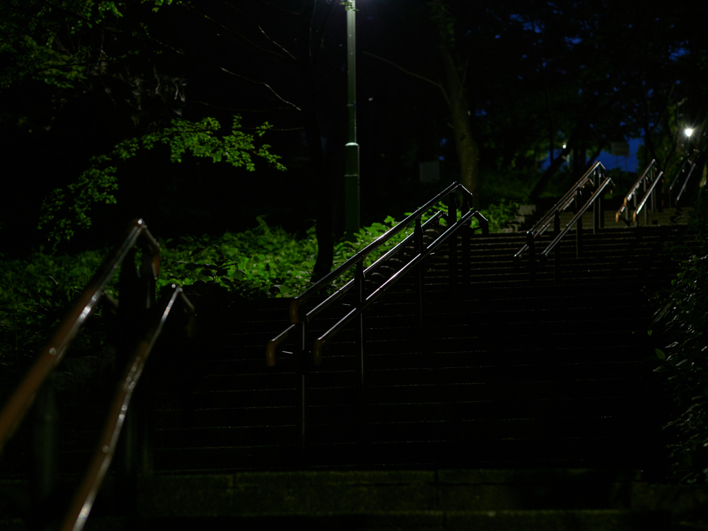 夜の階段