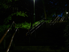 夜の階段