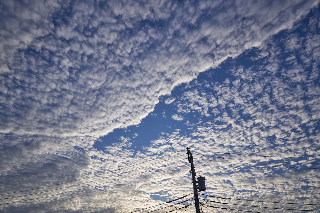 季節外れ！？の空の雲