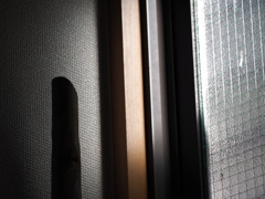 82B00668-529E-4B8F-98A7-86078EC6B825