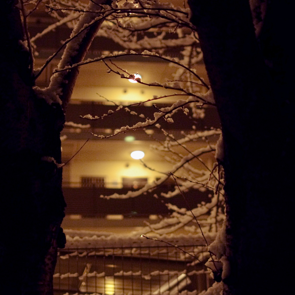 雪の夜