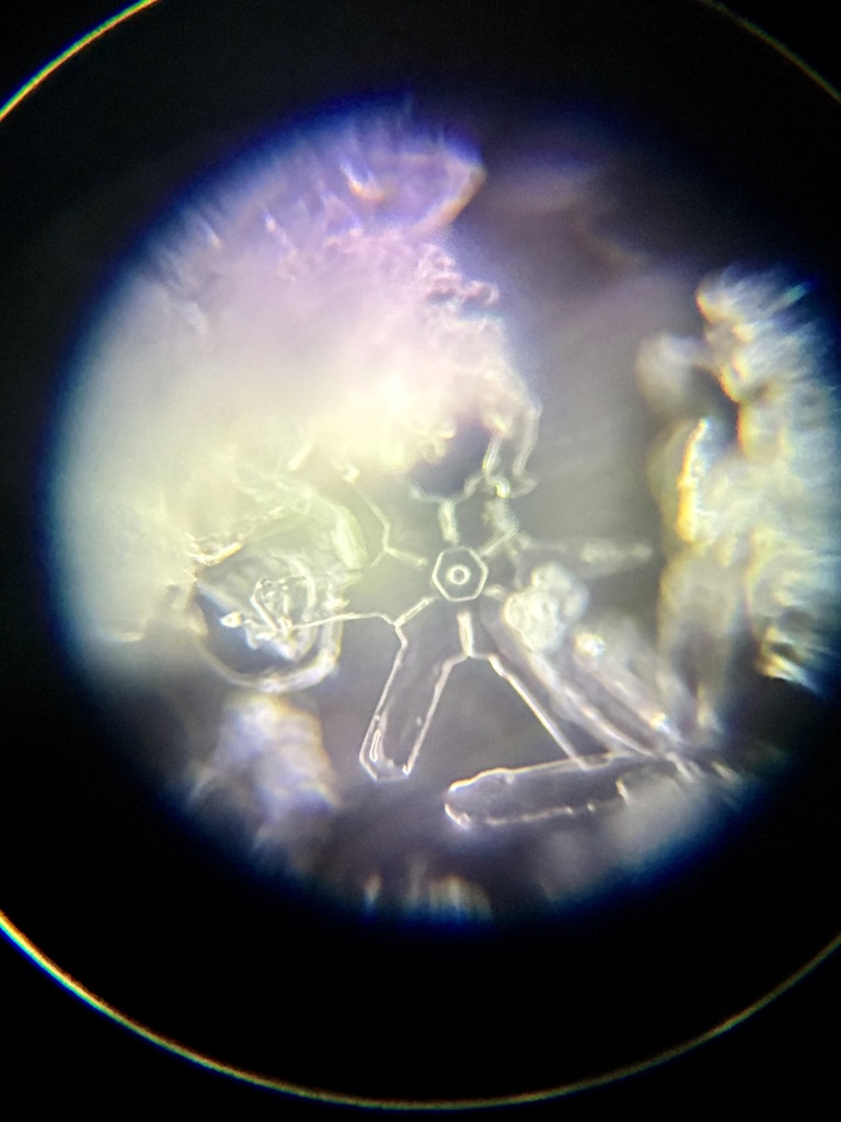 溶けかけた結晶