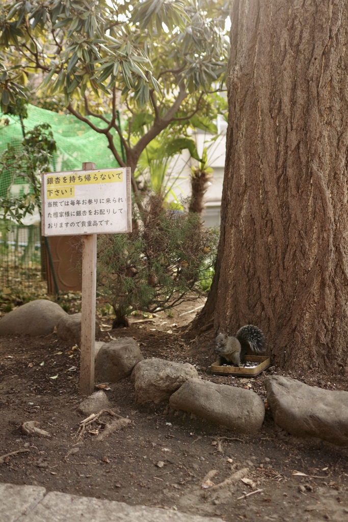 言葉の壁