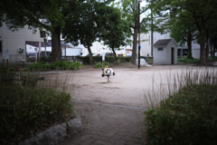 乗りたいなー