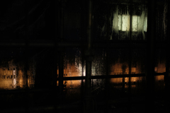 雨