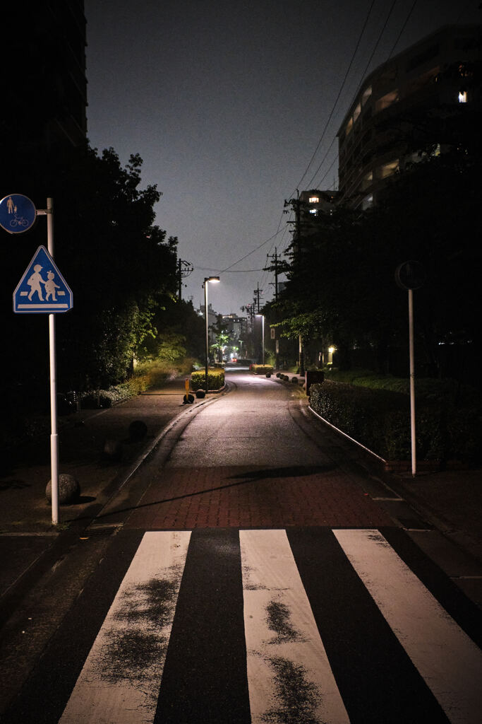 地面
