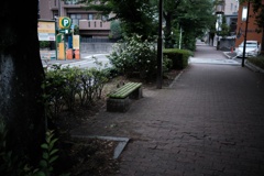 お散歩がてら試し撮り中