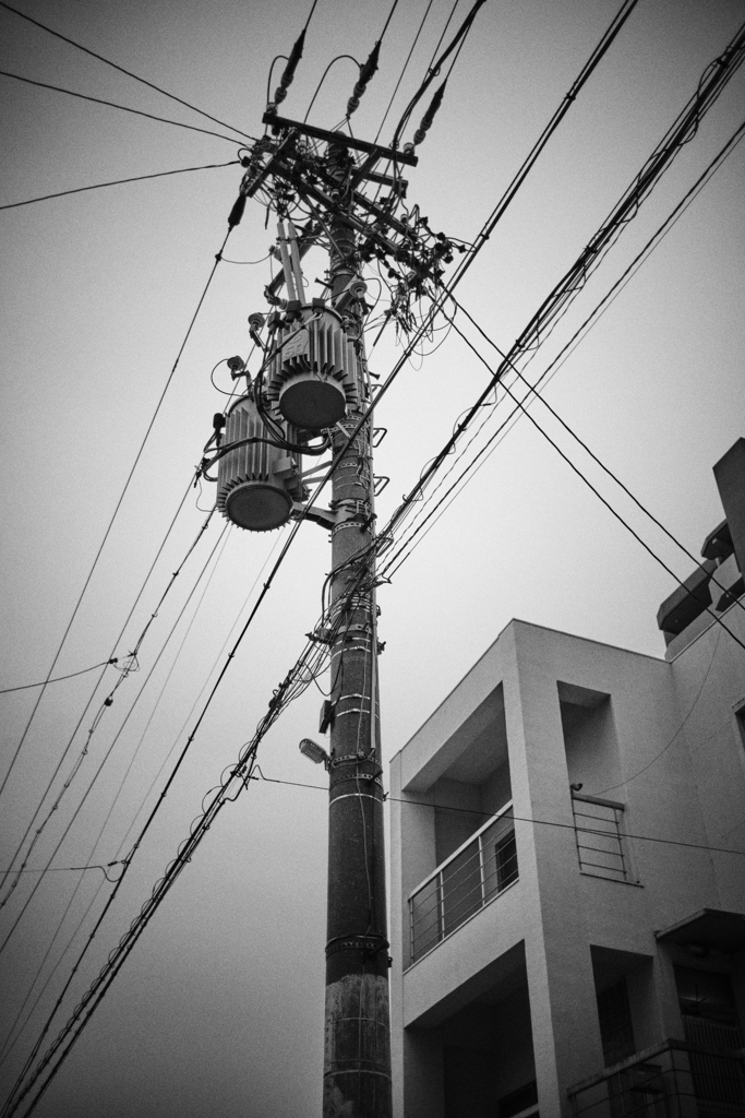 電柱その2