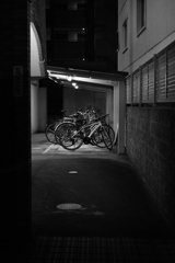 白黒なのかカラーなのか？