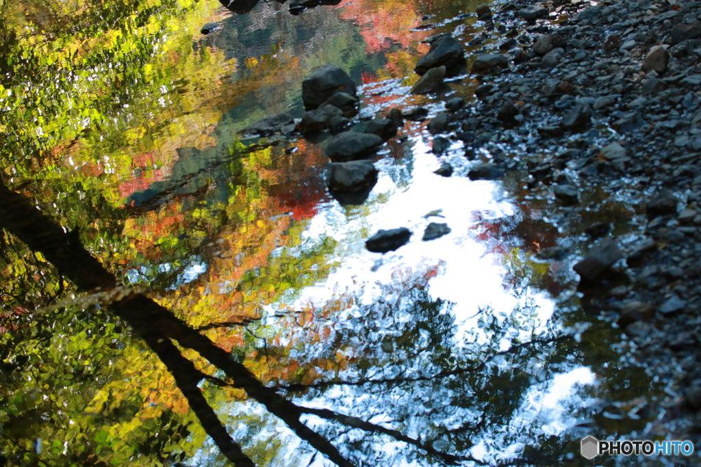 晴れた日の秋の紅葉