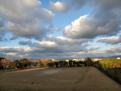 夕刻の公園　02