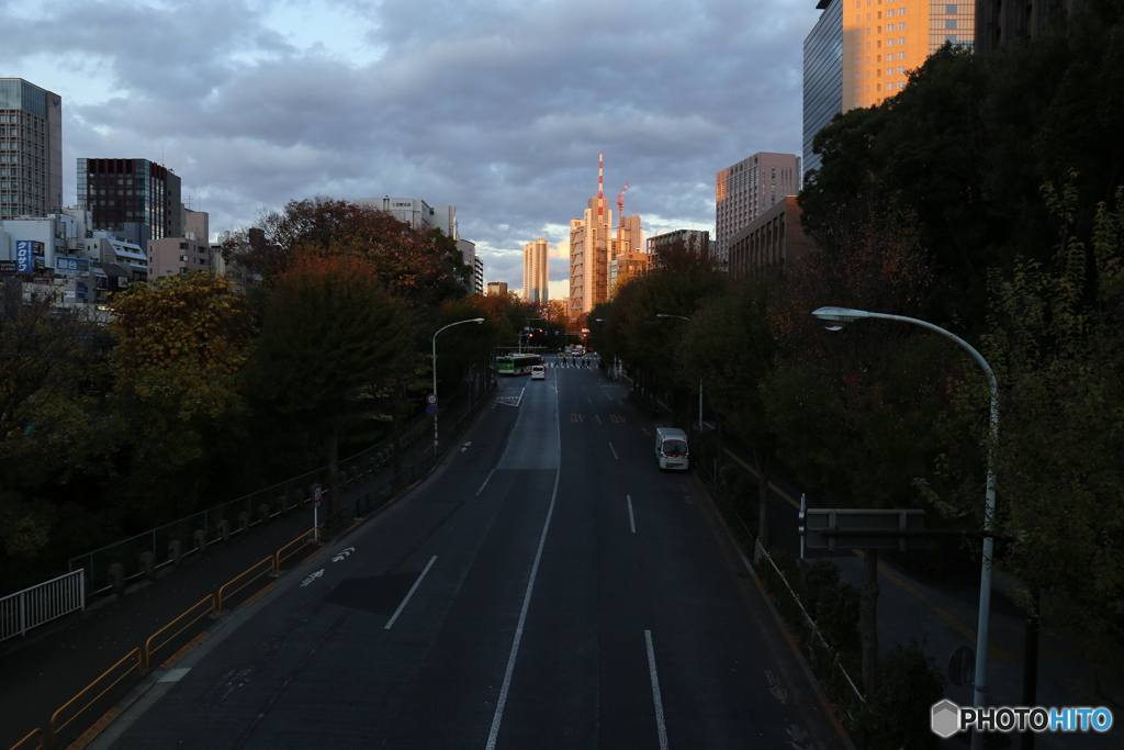 橋の上から見た風景