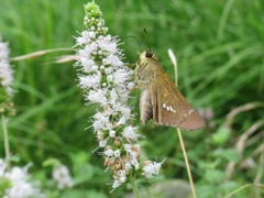 IMG_20201031_185347