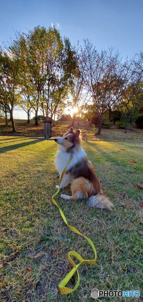 蜻蛉池公園