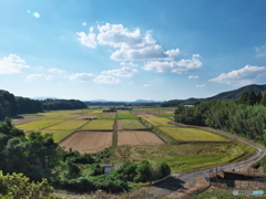 秋晴れ
