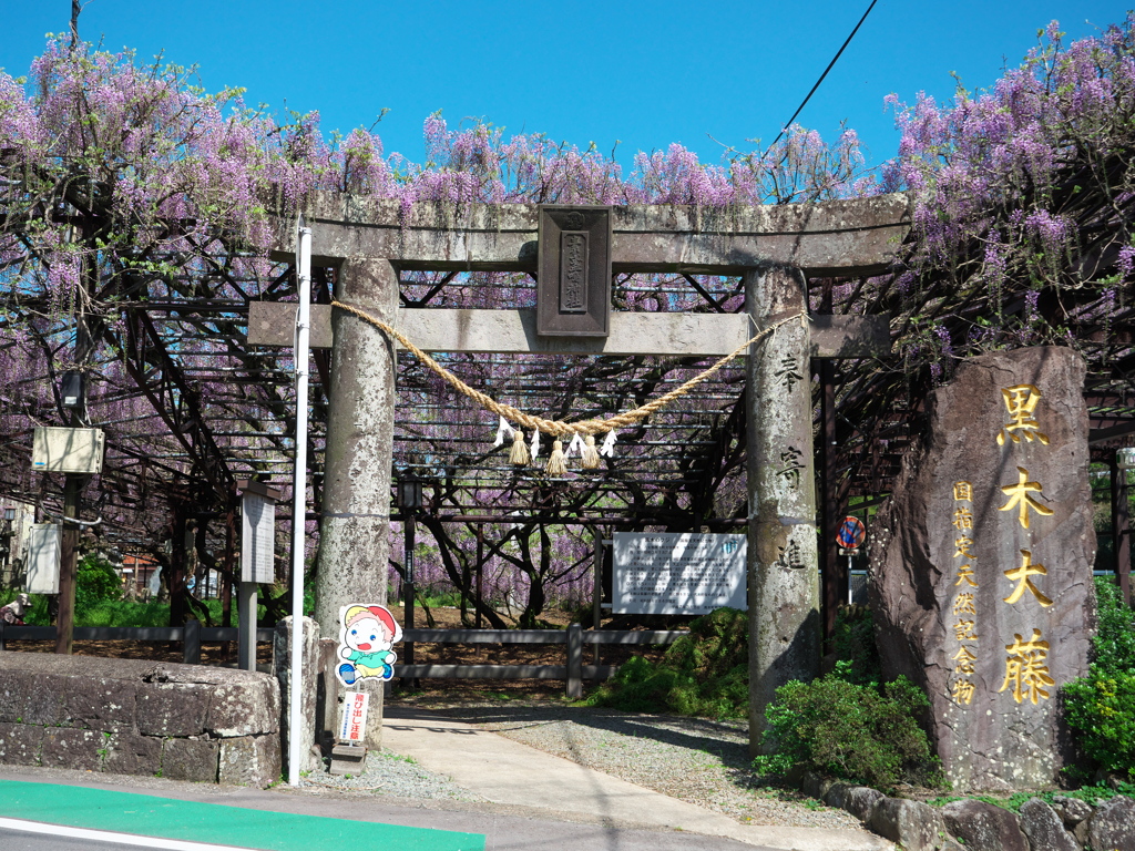 黒木の素盞嗚神社①