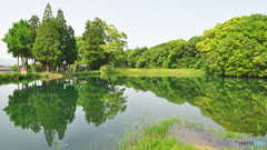 一つ目水源２