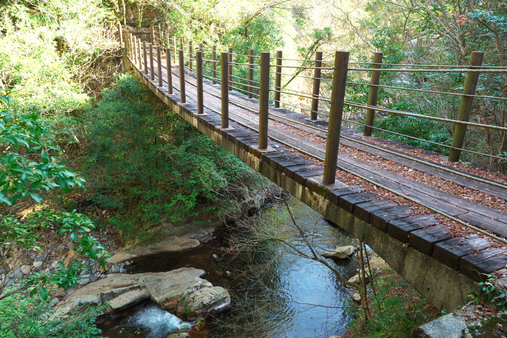 金原のつり橋①