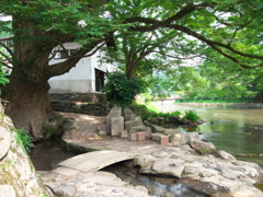 小国けやき水源①