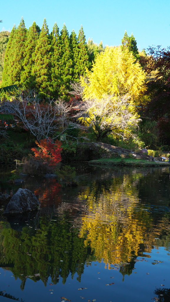 小野泉水公園４