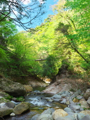 深緑の岳間渓谷