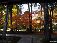 本坊庭園Ⅳ