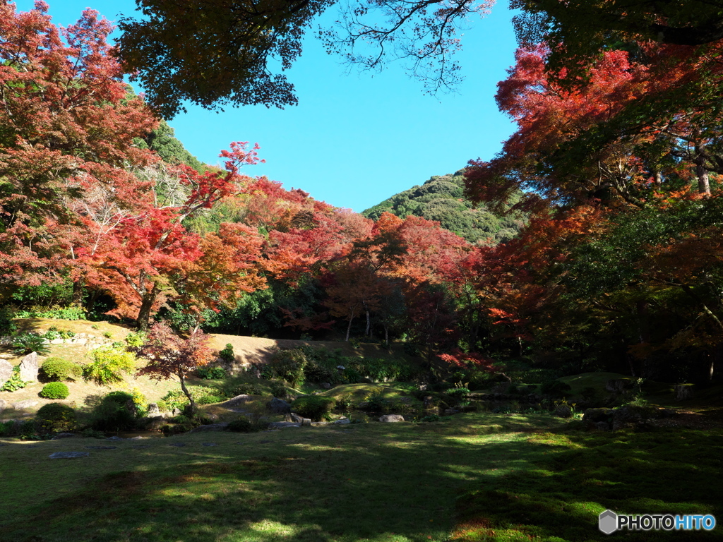 本坊庭園Ⅰ