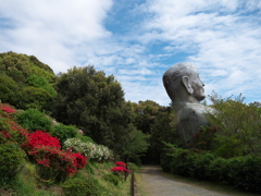 日輪寺のツツジ②