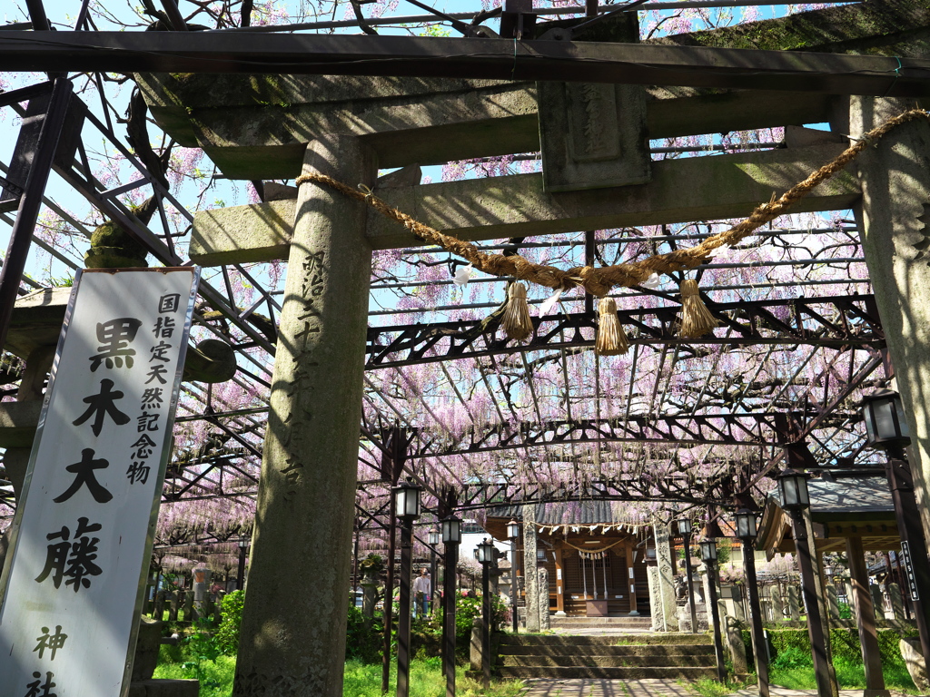 黒木の素盞嗚神社②