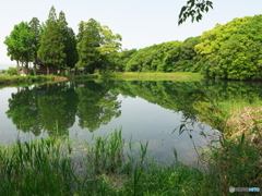 一つ目水源１