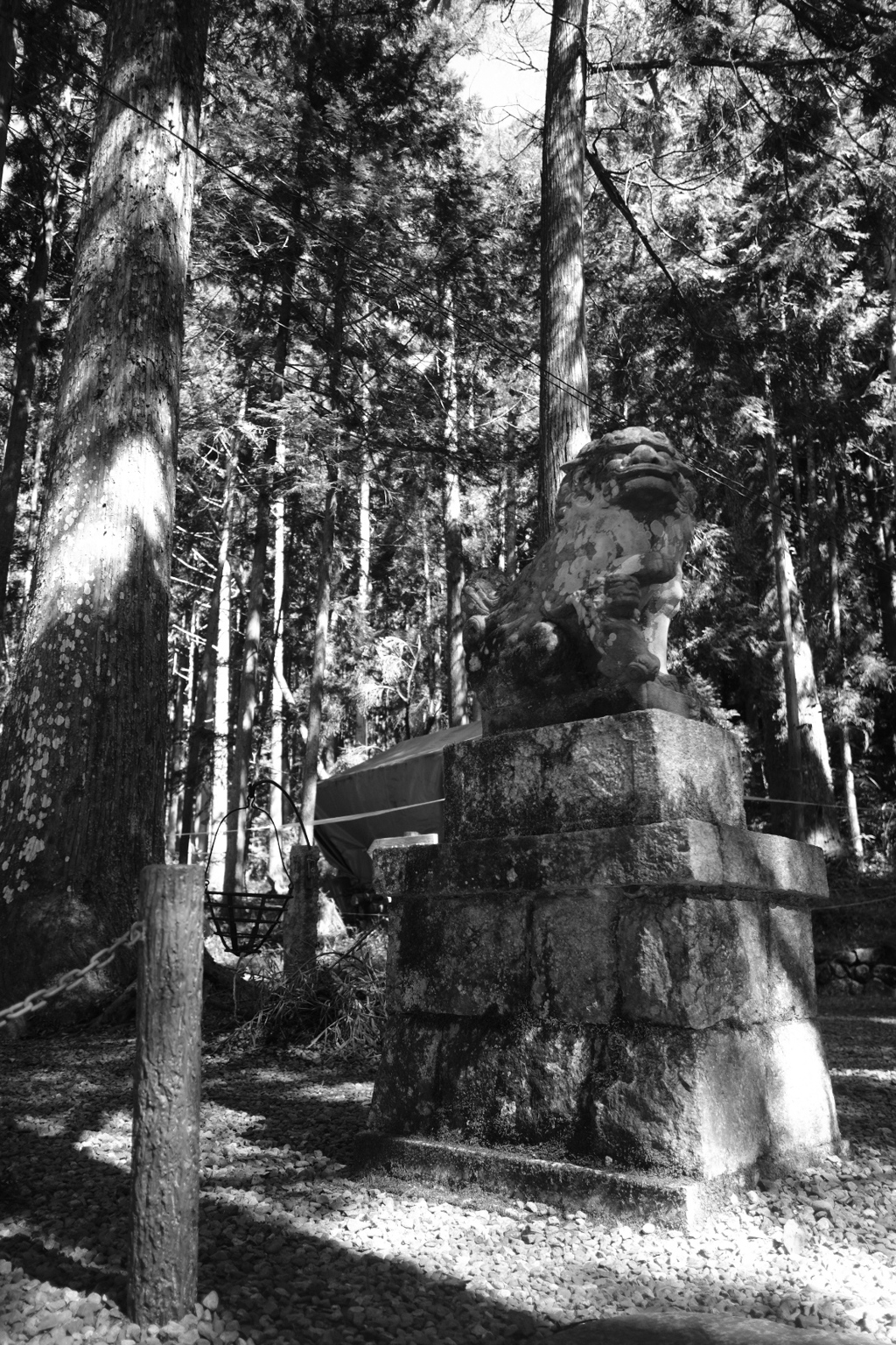 神社の守り神