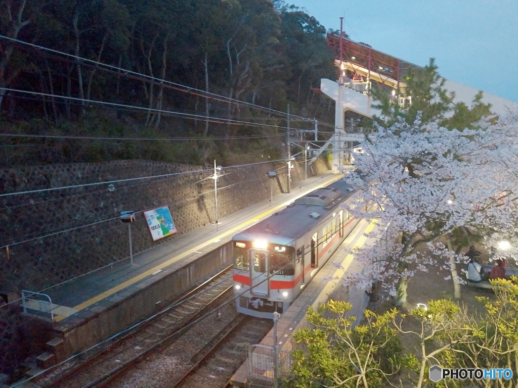 桜と電車