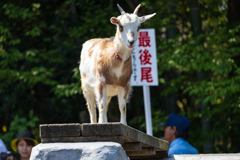 行列整理