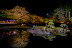 紅葉と夜池