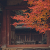 神護寺の紅葉狩り4