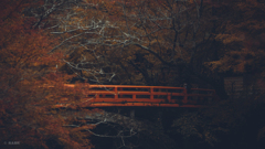 20201112-_DSC2900
