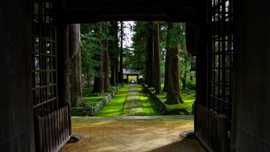 慈雲寺の苔