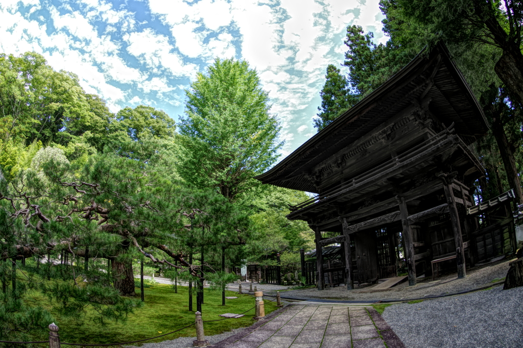 天佳松と山門