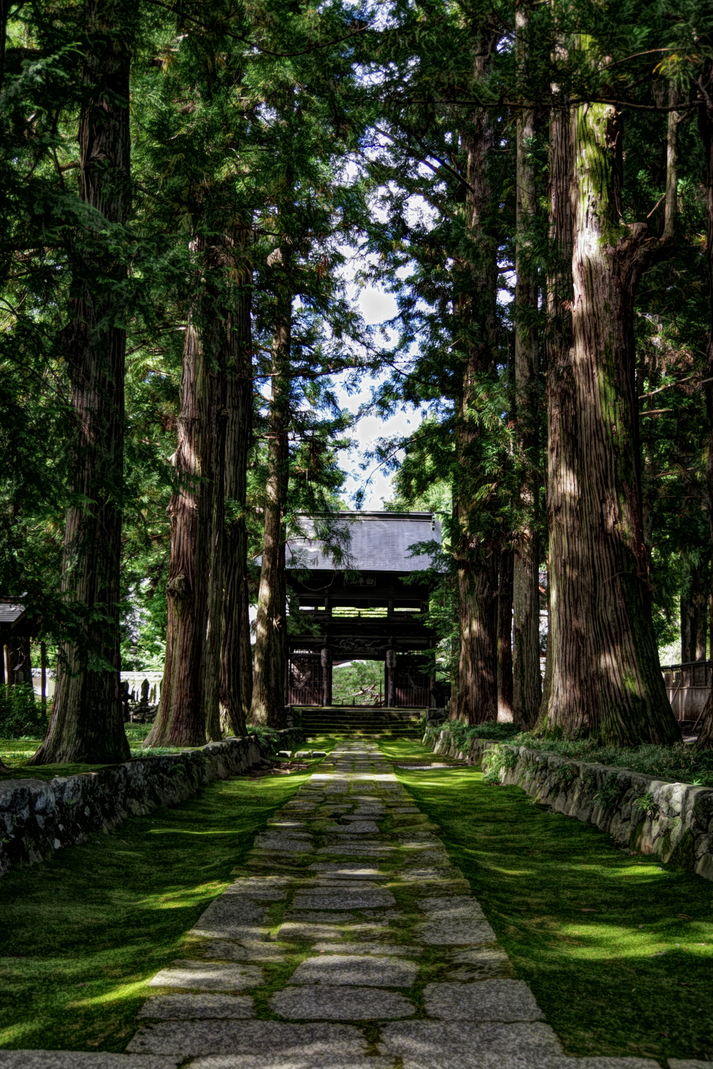 慈雲寺山門と苔