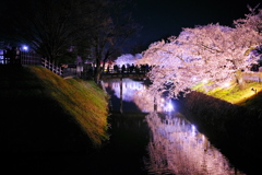 松本城夜桜会