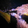 松本城夜桜会