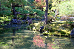 慈照寺　庭園