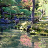 慈照寺　庭園