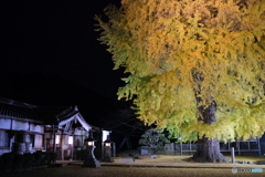 丹生酒殿神社　境内