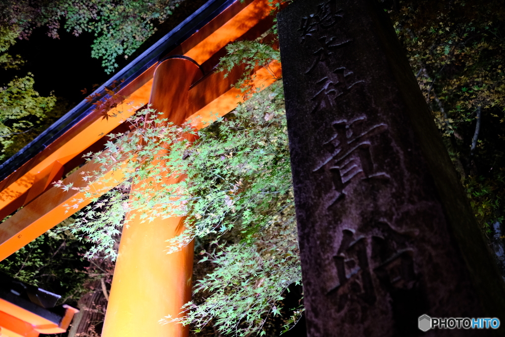 貴船神社　社号標と青もみじ