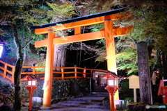 貴船神社　日没後の鳥居