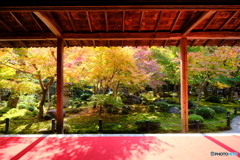 圓光寺　十牛の庭